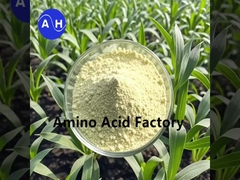 Hydrolizaty roślinne bogate w peptydy i aminokwasy w procesie enzymatycznym i fermentacyjnym