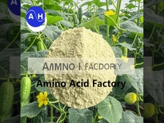 Hidrolyzaty białka rybnego dla roślin Biostimulant i wzmacniacz wzrostu z NPK 15-1-1