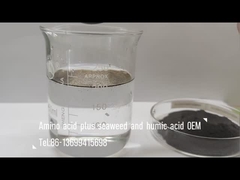 Mieszanka aminokwasów z wodorostami morskimi i kwasem huminowym jako nawozy mieszane do opryskiwania liści i nawadniania