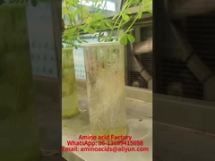 Amino-kwas manganu, minerały chelatowane, wspomagają wchłanianie fosforu