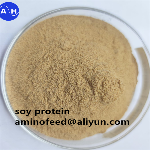 Najnowsze blogi firmy The Role of Crude Protein in Cattle Health and Nutrition