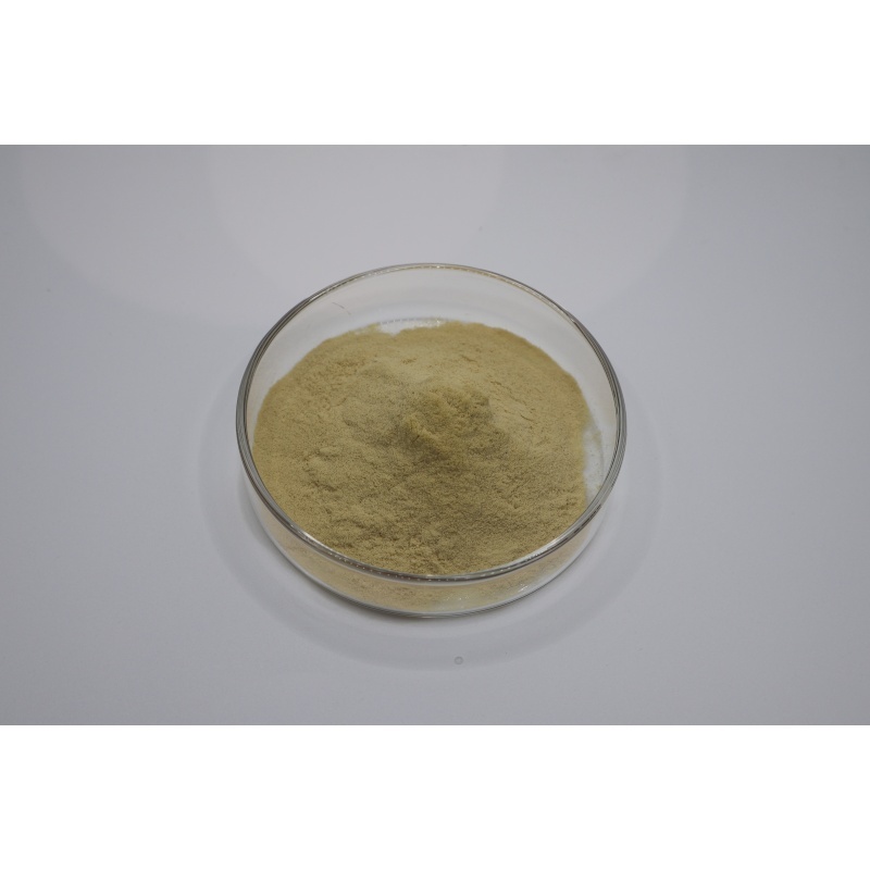Najnowsze blogi firmy From Fermentation to Quality Testing: A Technical Guide to Evaluating 90% Fertilizer Grade Amino Acid Powder