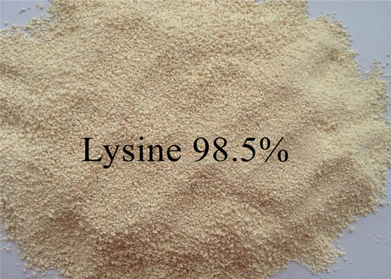 Lizyna klasy aminokwasowej 99% dla drobiu