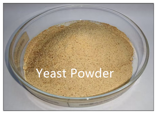 kupować Dodatek paszowy Proszek drożdży Nieaktywny Browary Protein drożdży online manufacture