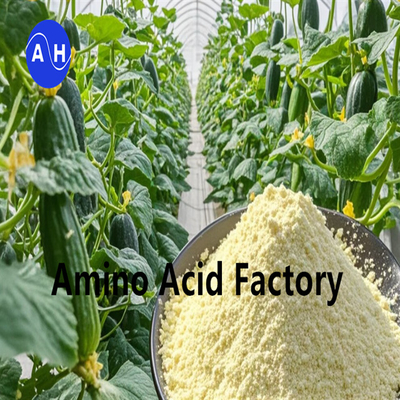 kupować REACH Zarejestrowane hydrolizowane białko sojowe z 80% aminokwasów dla pól golfowych online manufacture