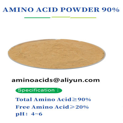 kupować Białko roślinne Amino kwasy w proszku 85-90% Wolny hydroxyprolin online manufacture