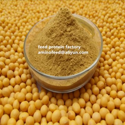 kupować Non-GMO Soy Protein Concentrate with 50% Protein Highly Digestible for Poultry and Aquatic Animals online manufacture