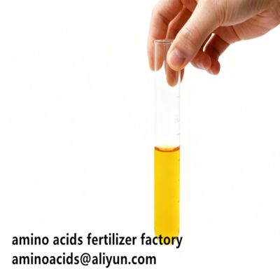 kupować Hydrolyzed Vegetable Free Amino Acids 80% Liquid Form For Organic Farming    online manufacture