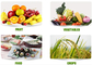 Nawozy organiczne zawierające aminokwasy, chelowany wapń i bor w żywieniu roślin