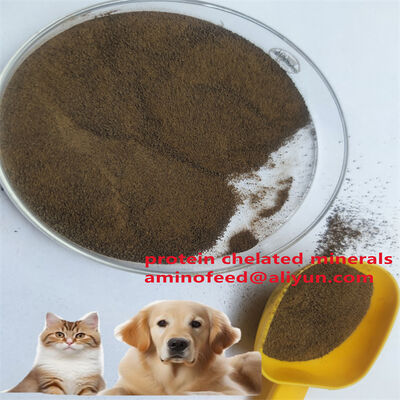 Białko zwierzęce Rodzaj paszy pochodzenia mykobakteryjnego Z surowym białkiem większym niż 70%